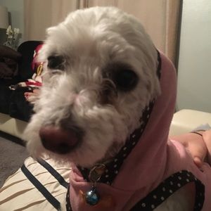 Meet your Posher, Sofia